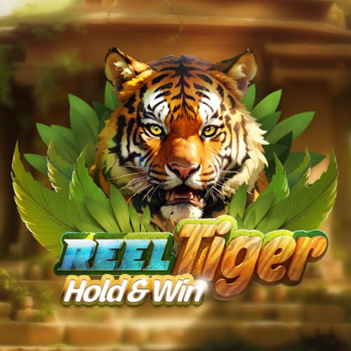 reel-tiger-hold-and-win-thumbnail-500x500