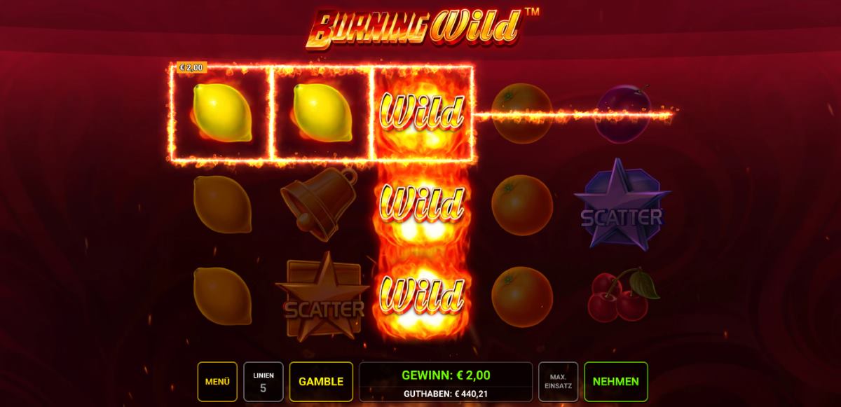 Burning-Wild-Gewinn.jpg