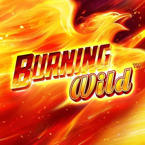 greentube burning-wild 500x500-min