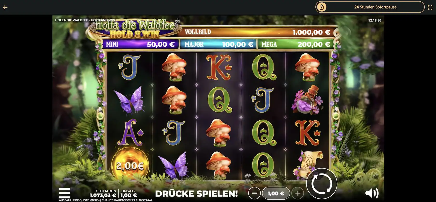 spielautomat-holla-die-waldfee-hold-and-win