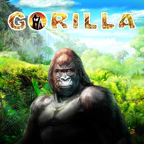 Gorilla